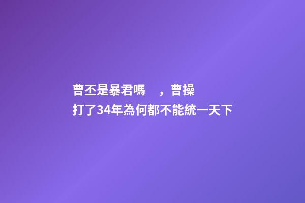 曹丕是暴君嗎，曹操打了34年為何都不能統一天下-第1張-觀點-玄機派
